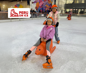 PERUONICE_CAJADETALLE-55-Min.webp