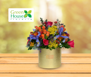 Green House Florerías - 15% desct. en Green House Florerías