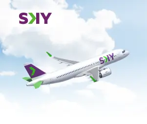 Caja-web-SKY-300x254-1.png