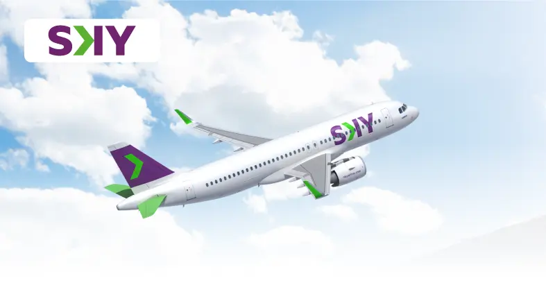 Caja-web-SKY-786x420-1.png