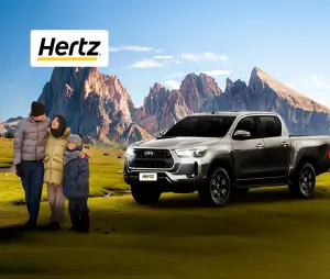 HERTZ_CAJADETALLE.png