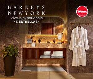 Caja-Web-300-x-254-Mega-Barneys.jpg